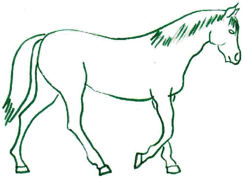 horse pictures for kids. grid drawing kids - main
