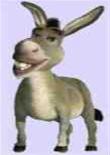 donkey-shrek