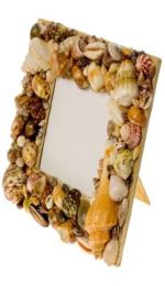 shell mirror