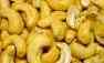 cashew