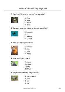 animals-young-quiz-222