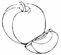 apple coloring page