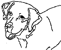 dog free coloring sheets for kids