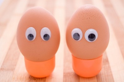 egghead windowsill gardening for kids eggs