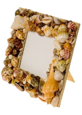 shell mirror